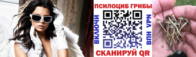 Псилоцибиновые грибы GOLDEN TEACHER  продажа наркотиков  Алейск 